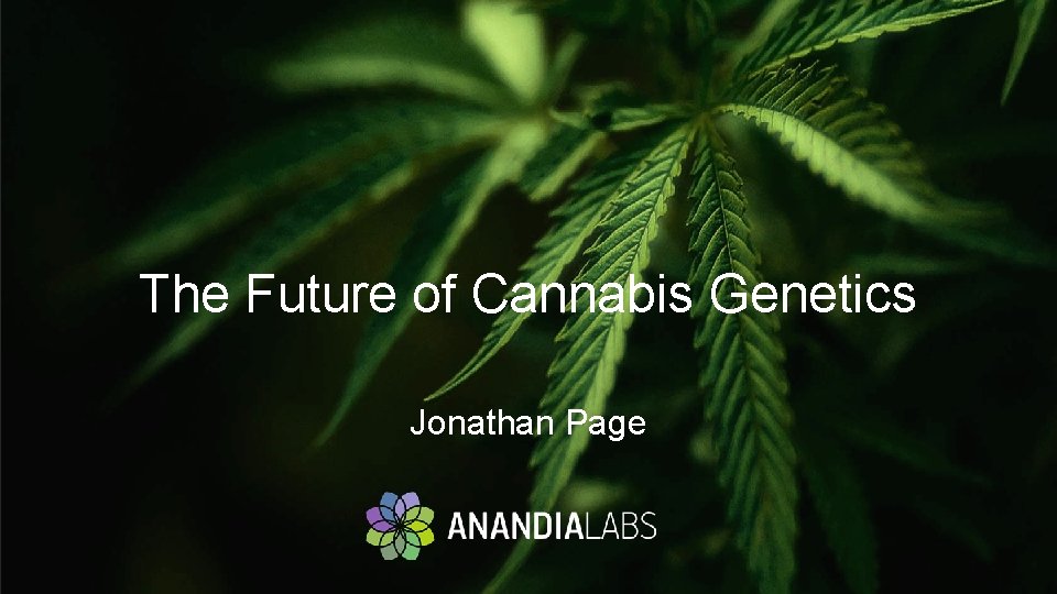 The Future of Cannabis Genetics Jonathan Page 