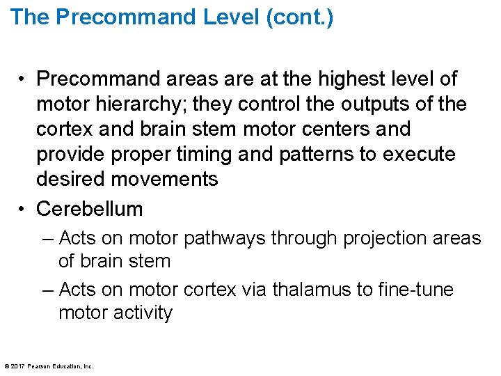 The Precommand Level (cont. ) • Precommand areas are at the highest level of