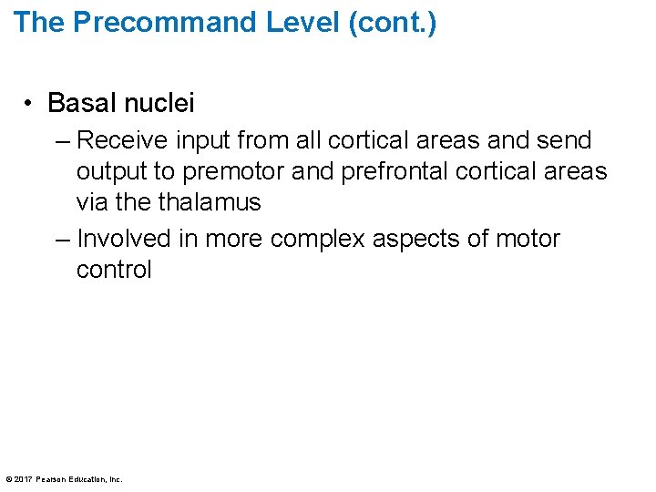 The Precommand Level (cont. ) • Basal nuclei – Receive input from all cortical