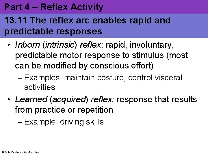 Part 4 – Reflex Activity 13. 11 The reflex arc enables rapid and predictable