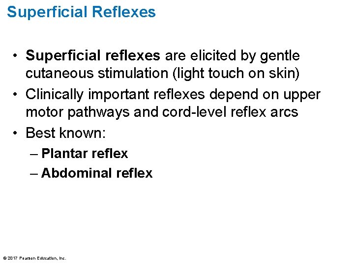 Superficial Reflexes • Superficial reflexes are elicited by gentle cutaneous stimulation (light touch on