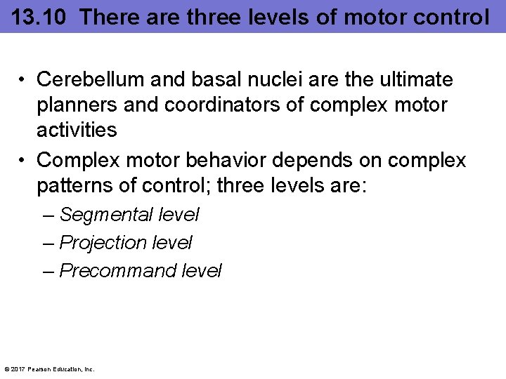 13. 10 There are three levels of motor control • Cerebellum and basal nuclei