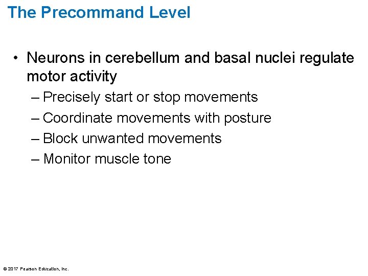 The Precommand Level • Neurons in cerebellum and basal nuclei regulate motor activity –