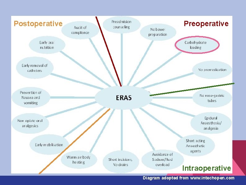 Postoperative Preoperative Intraoperative Diagram adopted from www. intechopen. com 