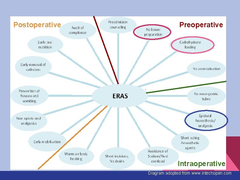 Postoperative Preoperative Intraoperative Diagram adopted from www. intechopen. com 