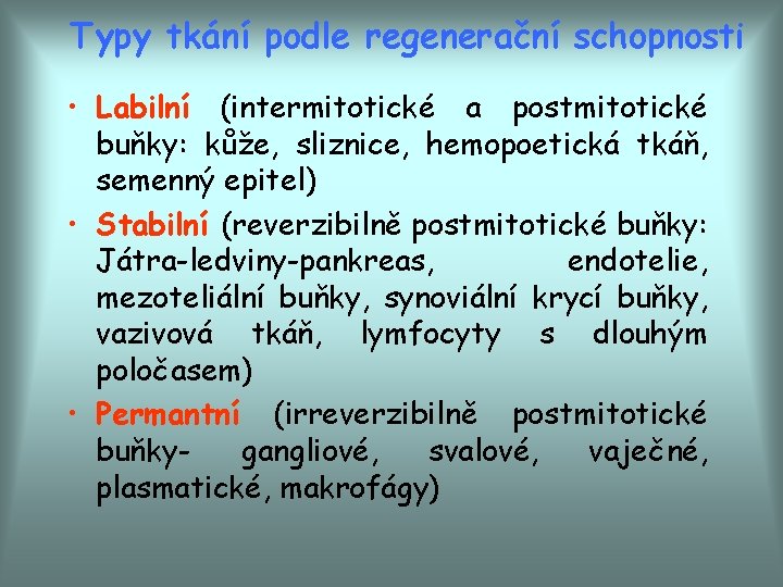 Typy tkání podle regenerační schopnosti • Labilní (intermitotické a postmitotické buňky: kůže, sliznice, hemopoetická