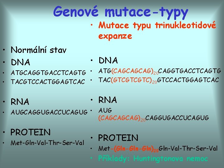 Genové mutace-typy • Mutace typu trinukleotidové expanze • Normální stav • DNA • RNA