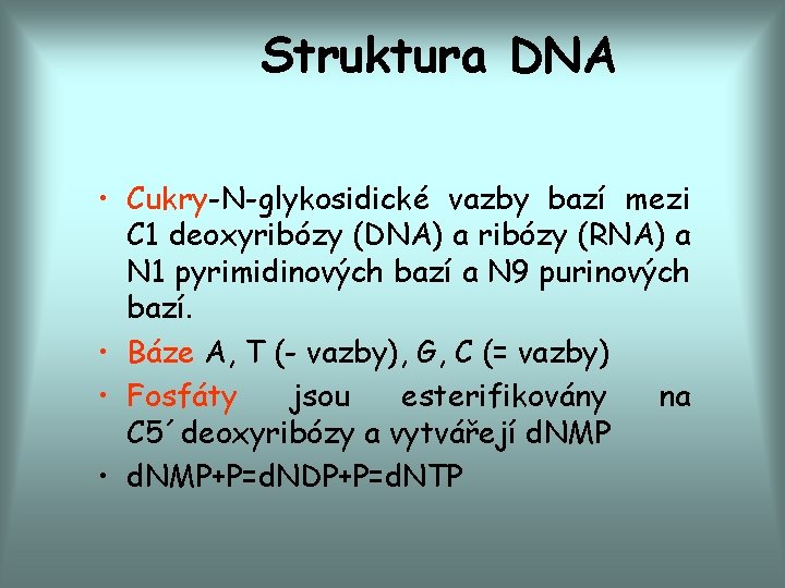 Struktura DNA • Cukry-N-glykosidické vazby bazí mezi C 1 deoxyribózy (DNA) a ribózy (RNA)