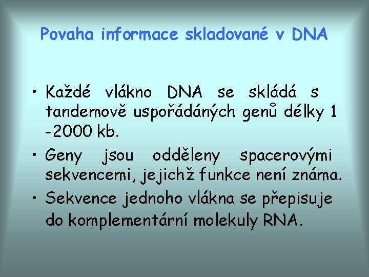 Povaha informace skladované v DNA • Každé vlákno DNA se skládá s tandemově uspořádáných