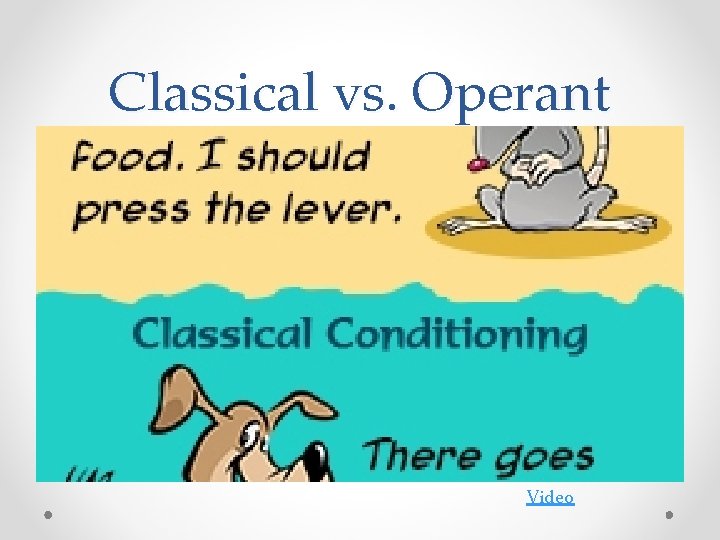 Classical vs. Operant Video 