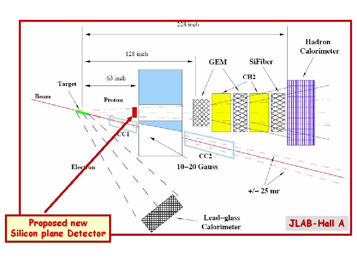 Proposed new Silicon plane Detector JLAB-Hall A 