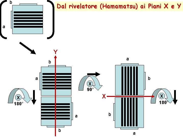 b Dal rivelatore (Hamamatsu) ai Piani X e Y a b a b X