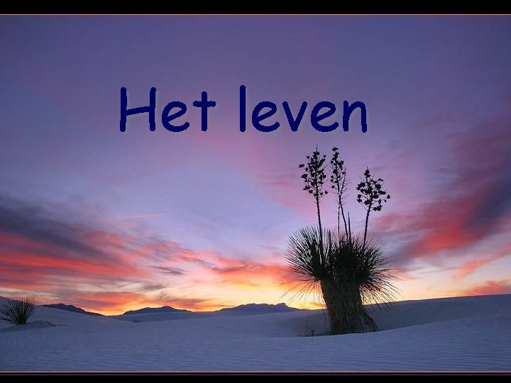 Het leven 