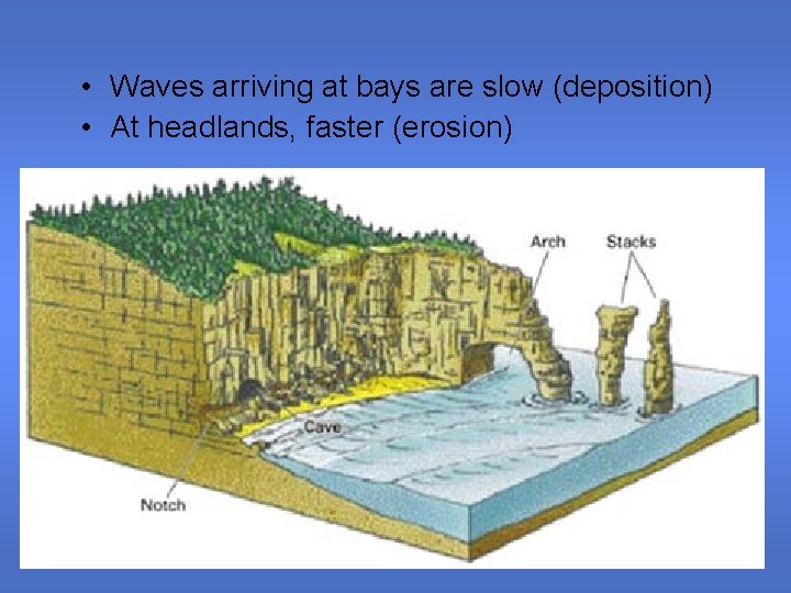  • Waves arriving at bays are slow (deposition) • At headlands, faster (erosion)