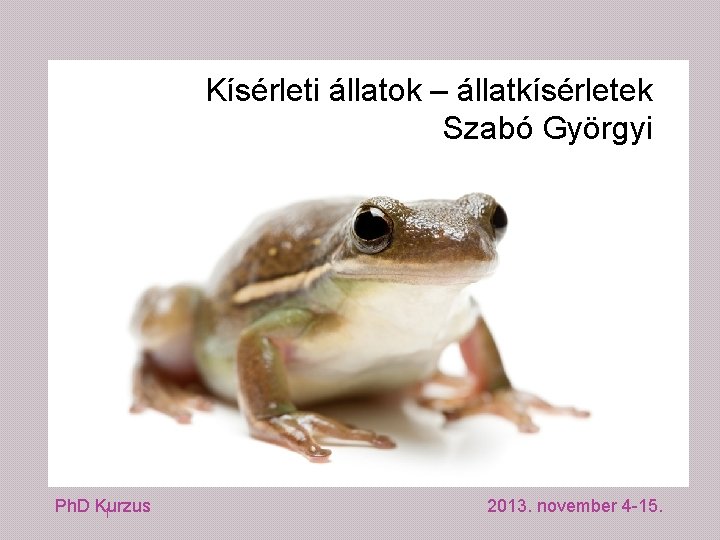 Kísérleti állatok – állatkísérletek Szabó Györgyi Ph. D Kurzus 1 2013. november 4 -15.
