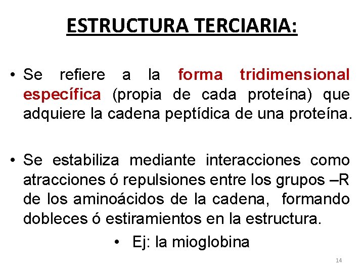 ESTRUCTURA TERCIARIA: • Se refiere a la forma tridimensional específica (propia de cada proteína)