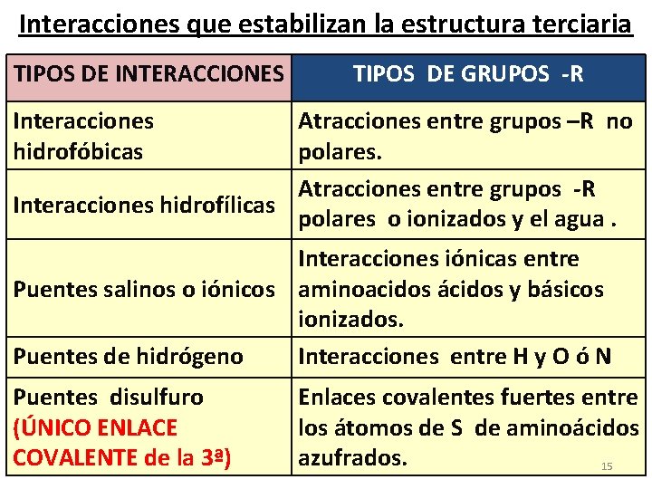 Interacciones que estabilizan la estructura terciaria TIPOS DE INTERACCIONES TIPOS DE GRUPOS -R Interacciones