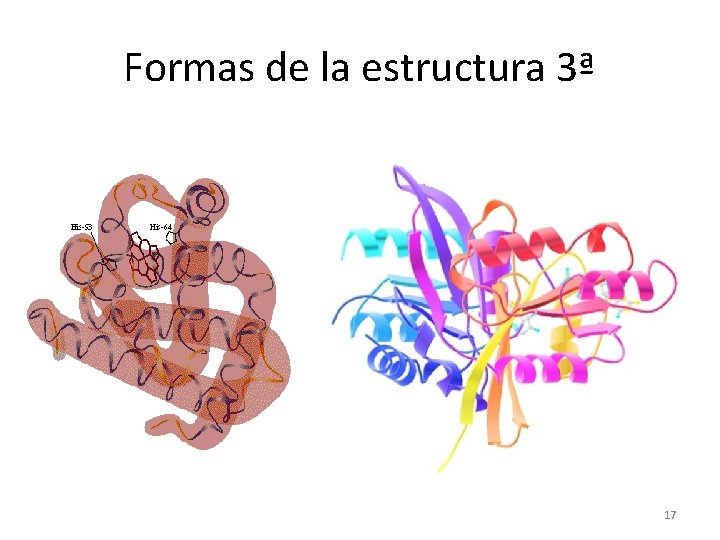 Formas de la estructura 3ª 17 