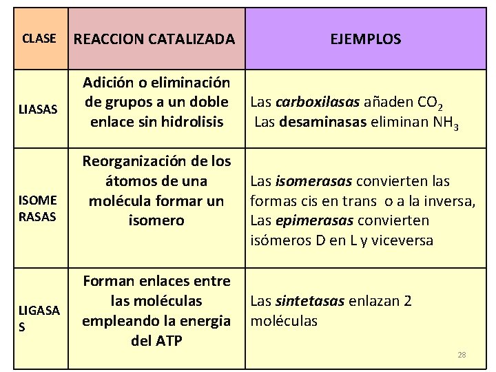 CLASE LIASAS ISOME RASAS LIGASA S REACCION CATALIZADA Adición o eliminación de grupos a