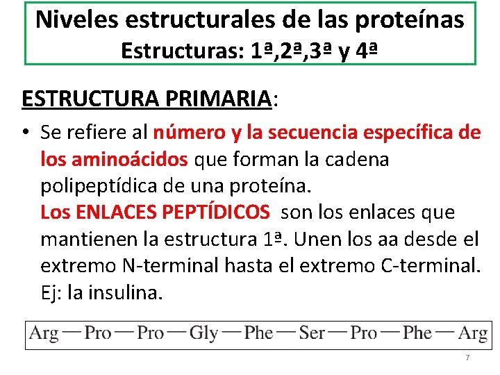 Niveles estructurales de las proteínas Estructuras: 1ª, 2ª, 3ª y 4ª ESTRUCTURA PRIMARIA: •