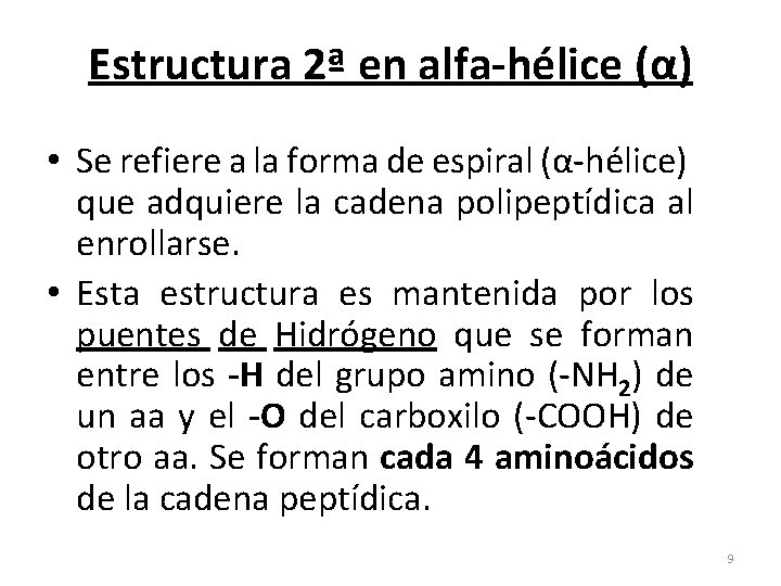 Estructura 2ª en alfa-hélice (α) • Se refiere a la forma de espiral (α-hélice)