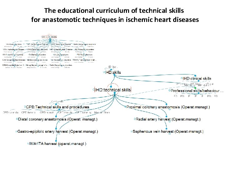 The educational curriculum of technical skills for anastomotic techniques in ischemic heart diseases 