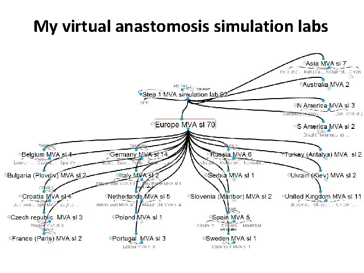 My virtual anastomosis simulation labs 