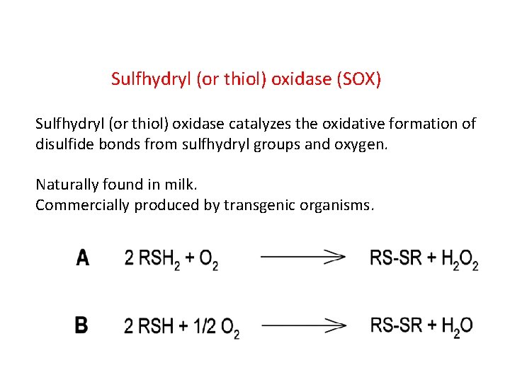 Sulfhydryl (or thiol) oxidase (SOX) Sulfhydryl (or thiol) oxidase catalyzes the oxidative formation of