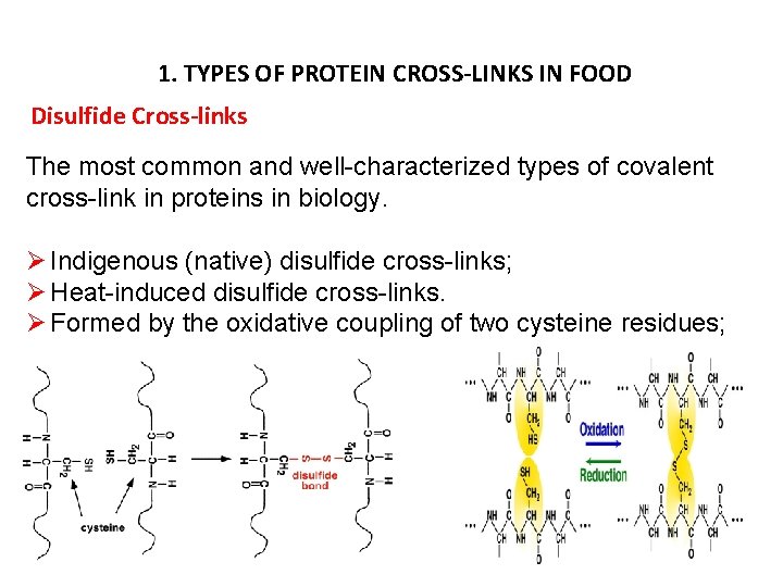 1. TYPES OF PROTEIN CROSS-LINKS IN FOOD Disulfide Cross-links The most common and well-characterized
