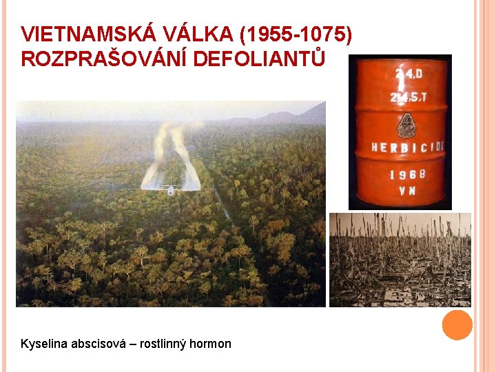 VIETNAMSKÁ VÁLKA (1955 -1075) ROZPRAŠOVÁNÍ DEFOLIANTŮ Kyselina abscisová – rostlinný hormon 