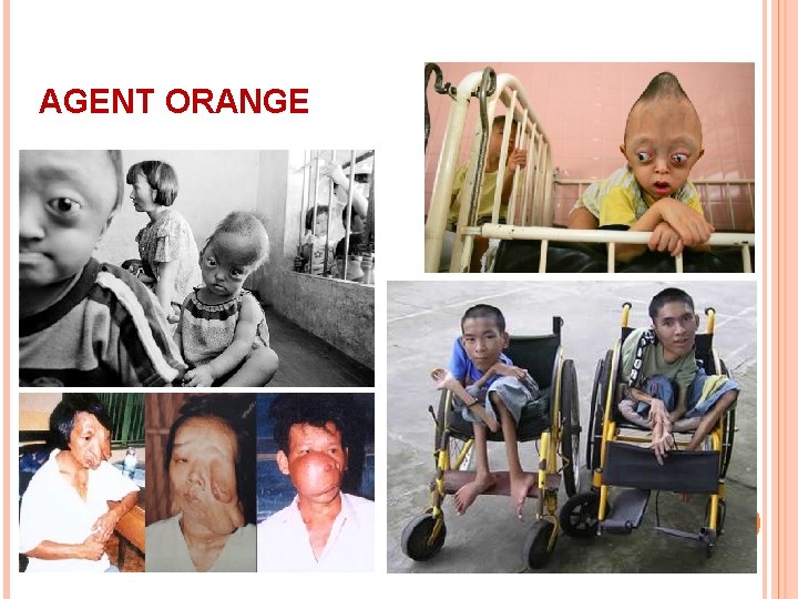 AGENT ORANGE 