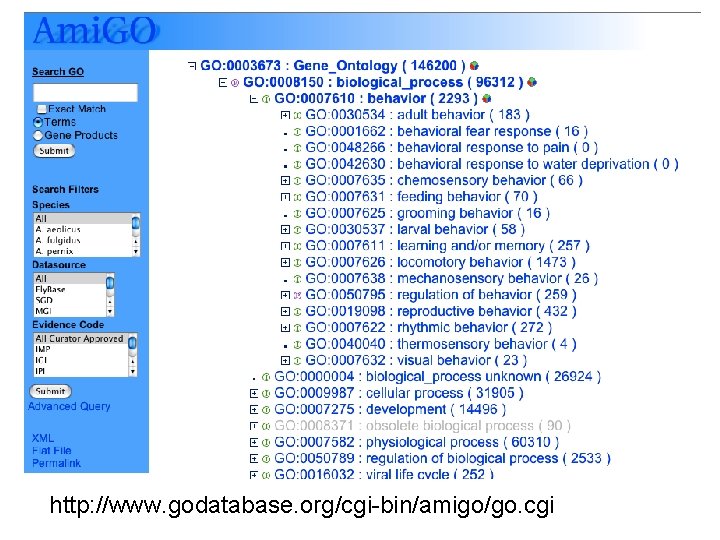 http: //www. godatabase. org/cgi-bin/amigo/go. cgi 