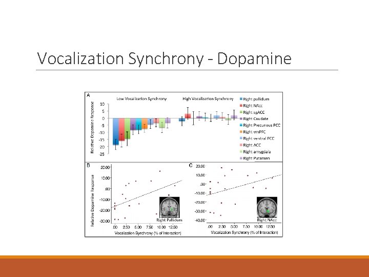 Vocalization Synchrony - Dopamine Vocalization Synchrony - Dopamine
