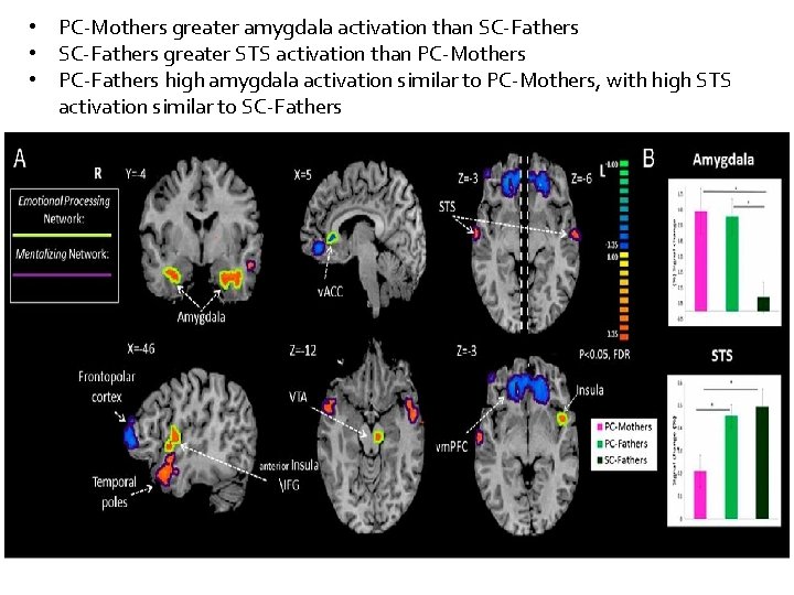 • PC-Mothers greater amygdala activation than SC-Fathers • SC-Fathers greater STS activation than • PC-Mothers greater amygdala activation than SC-Fathers • SC-Fathers greater STS activation than