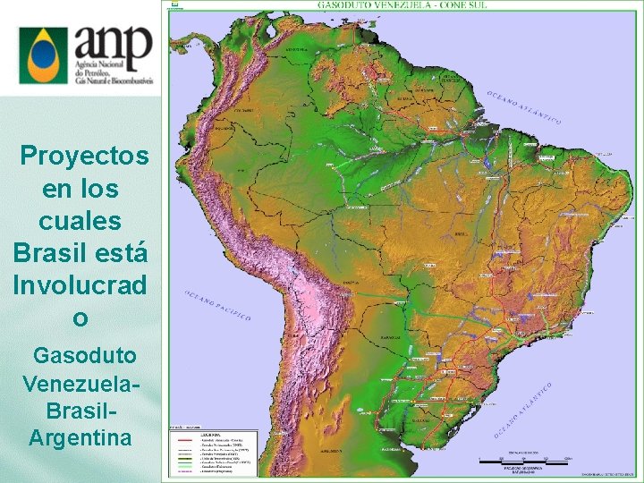 La Integracin Gasfera en el Cono Sur Diagnstico