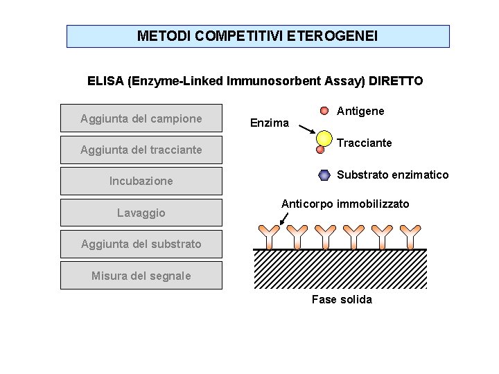 METODI COMPETITIVI ETEROGENEI ELISA (Enzyme-Linked Immunosorbent Assay) DIRETTO Aggiunta del campione Aggiunta del tracciante