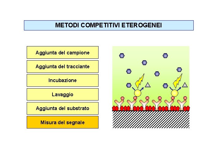 METODI COMPETITIVI ETEROGENEI Aggiunta del campione Aggiunta del tracciante Incubazione Lavaggio Aggiunta del substrato