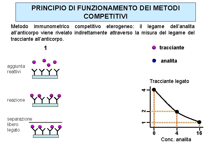 PRINCIPIO DI FUNZIONAMENTO DEI METODI COMPETITIVI Metodo immunometrico competitivo eterogeneo: il legame dell’analita all’anticorpo