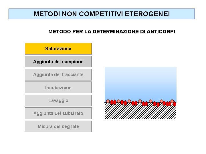 METODI NON COMPETITIVI ETEROGENEI METODO PER LA DETERMINAZIONE DI ANTICORPI Saturazione Aggiunta del campione