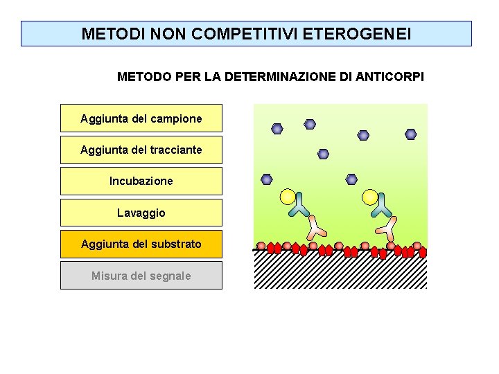 METODI NON COMPETITIVI ETEROGENEI METODO PER LA DETERMINAZIONE DI ANTICORPI Aggiunta del campione Aggiunta