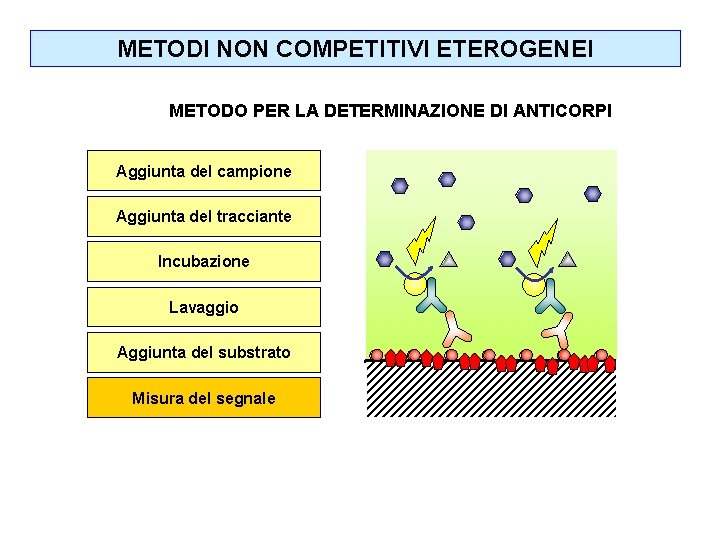 METODI NON COMPETITIVI ETEROGENEI METODO PER LA DETERMINAZIONE DI ANTICORPI Aggiunta del campione Aggiunta