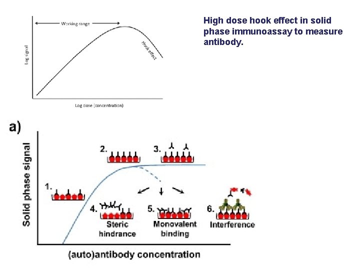 High dose hook effect in solid phase immunoassay to measure antibody. 