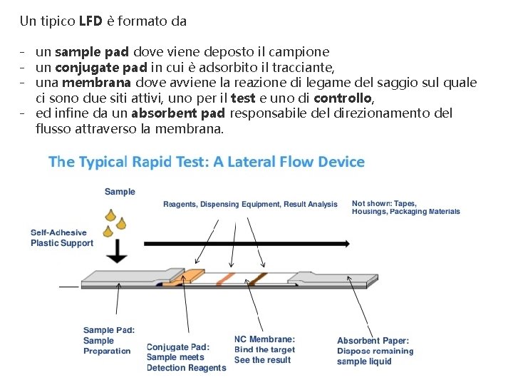 Un tipico LFD è formato da - un sample pad dove viene deposto il