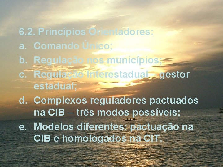6. 2. Princípios Orientadores: a. Comando Único; b. Regulação nos municípios; c. Regulação Interestadual