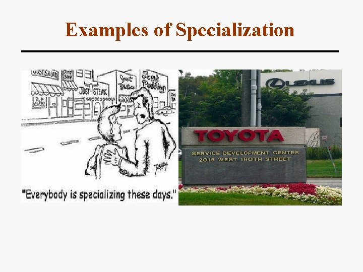 Examples of Specialization 