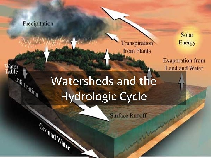 Watersheds and the Hydrologic Cycle 