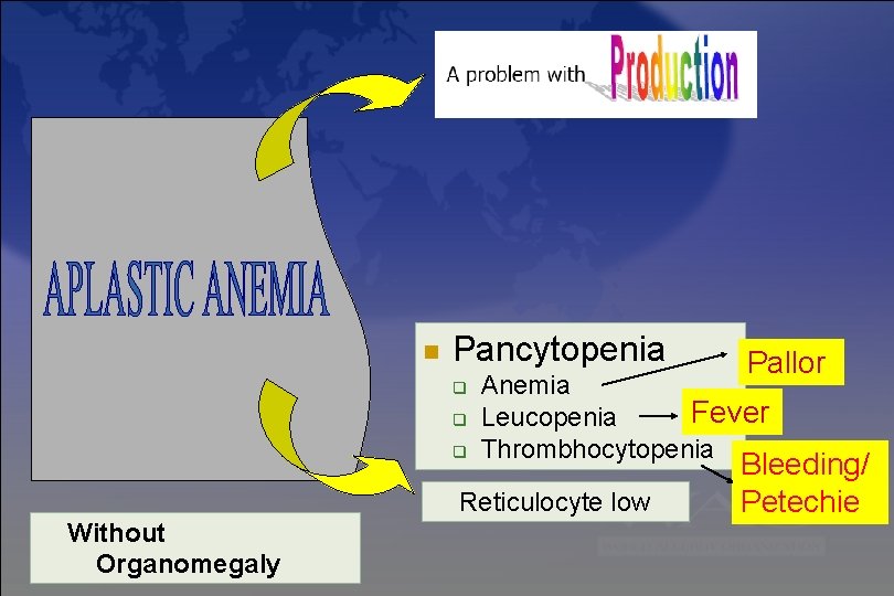 Pancytopenia Anemia Fever Leucopenia Thrombhocytopenia Reticulocyte low Without Organomegaly Pallor Bleeding/ Petechie Pancytopenia Anemia Fever Leucopenia Thrombhocytopenia Reticulocyte low Without Organomegaly Pallor Bleeding/ Petechie