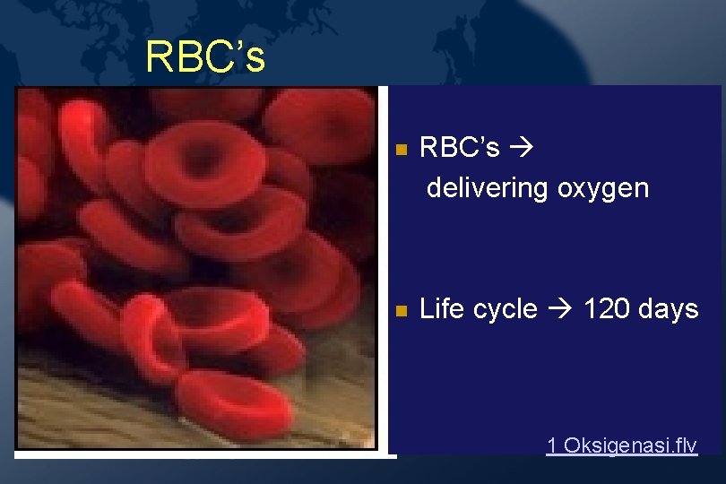 RBC’s delivering oxygen Life cycle 120 days 1 Oksigenasi. flv RBC’s delivering oxygen Life cycle 120 days 1 Oksigenasi. flv