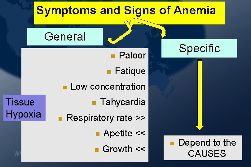 Symptoms and Signs of Anemia General Tissue Hypoxia Paloor Fatique Low concentration Specific Tahycardia Symptoms and Signs of Anemia General Tissue Hypoxia Paloor Fatique Low concentration Specific Tahycardia