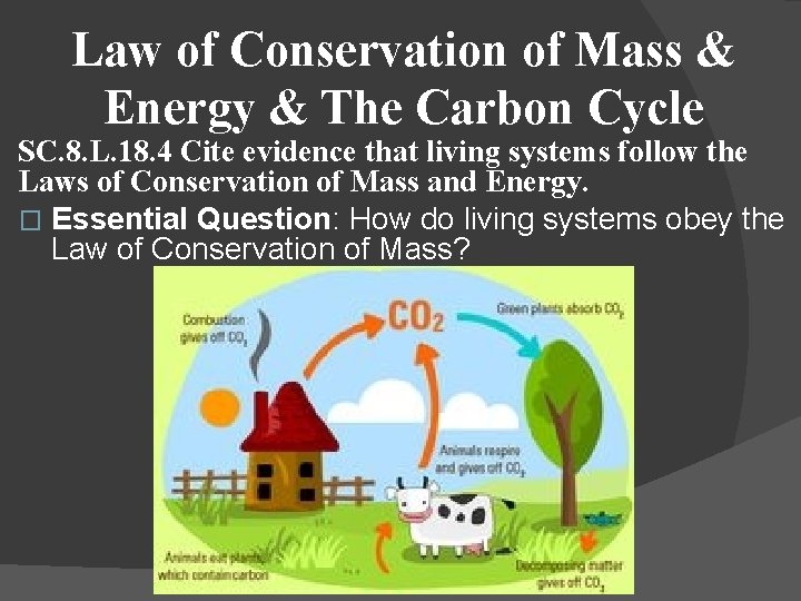 Law of Conservation of Mass & Energy & The Carbon Cycle SC. 8. L.